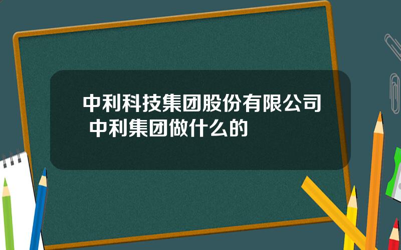 中利科技集团股份有限公司 中利集团做什么的